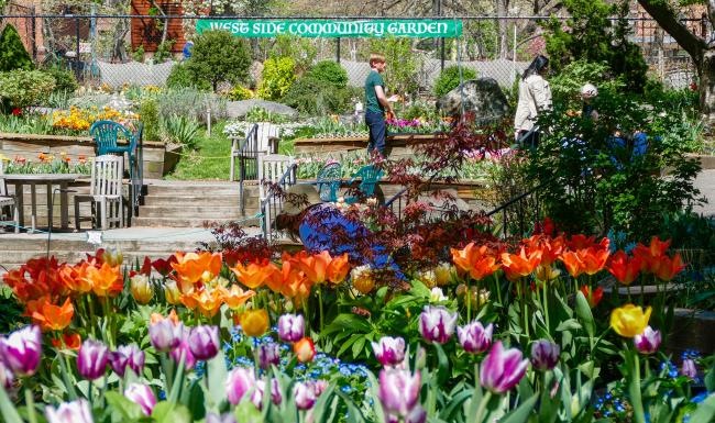 Settle into comfort at The Melar a garden of colorful flowers