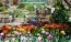 a garden of colorful flowers